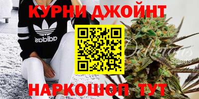 прущие грибы Мариинск