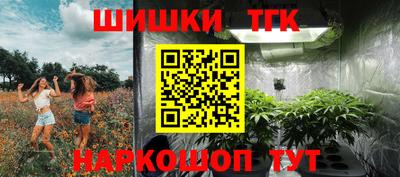 прущие грибы Мариинск